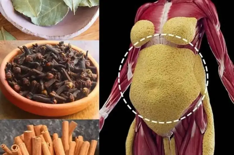 The Quiet Power of Cinnamon Tea: A Simple Sip for Natural Balance