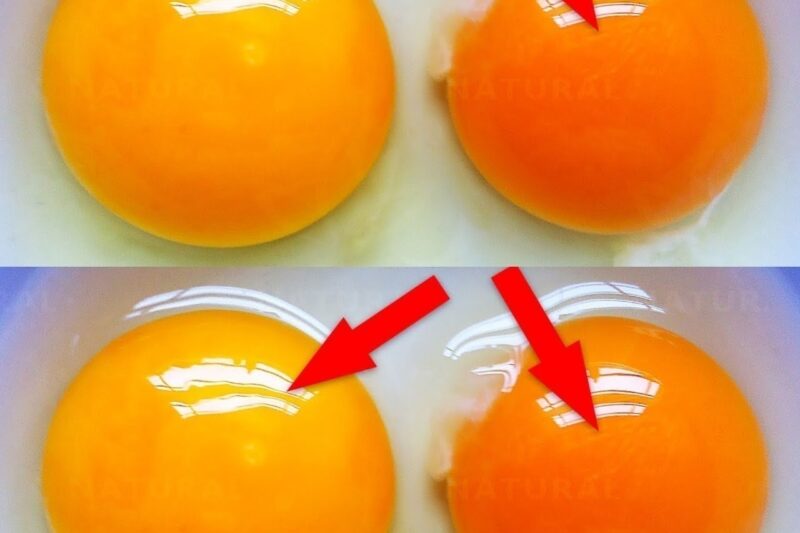 This Is What The Color of Your Egg Yolk Means