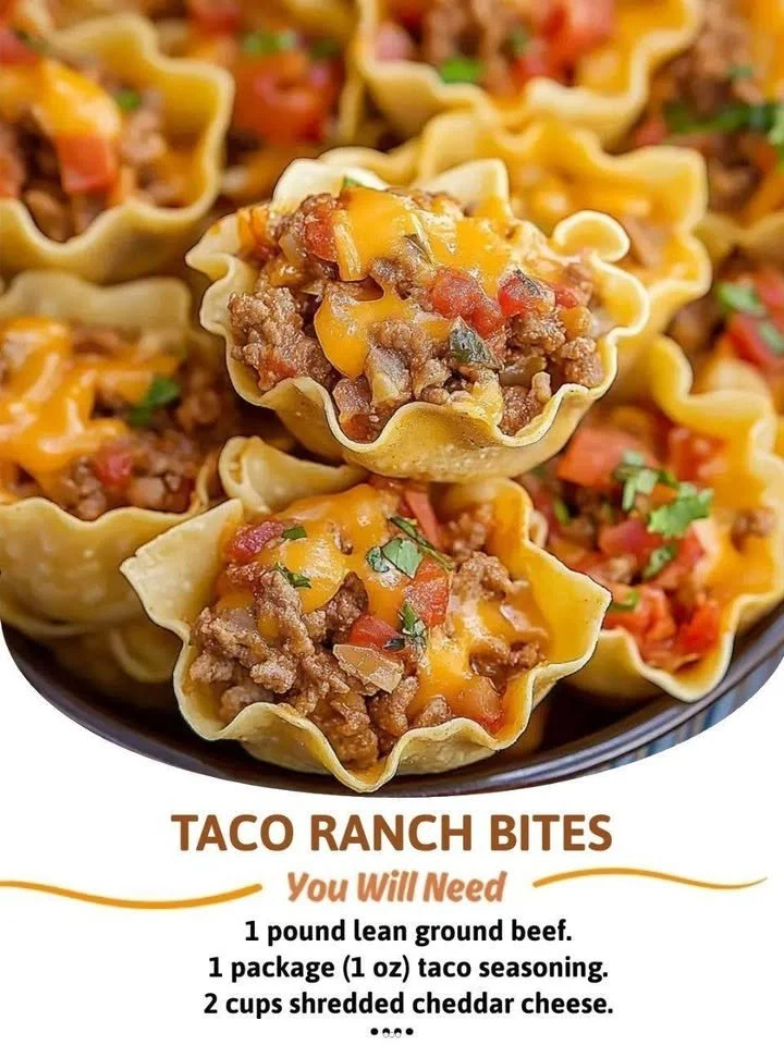 Plate of tasty Taco Ranch Bites served with dipping sauce