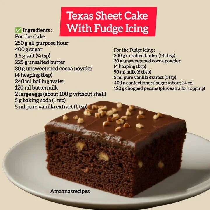 Delicious Texas Sheet Cake topped with rich fudge icing on a serving plate.
