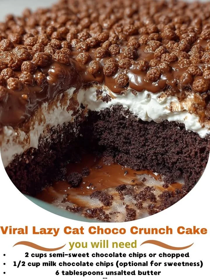 Viral Lazy Cat Choco Crunch Cake with chocolate topping and crunchy texture