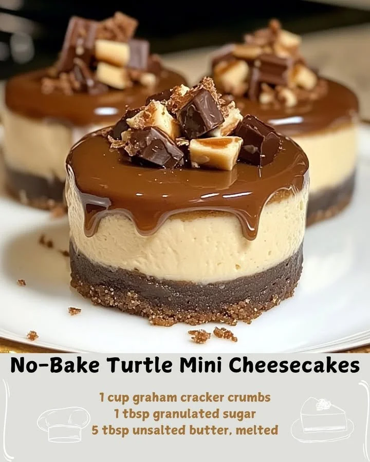 No-bake turtle mini cheesecakes topped with caramel and nuts on a plate