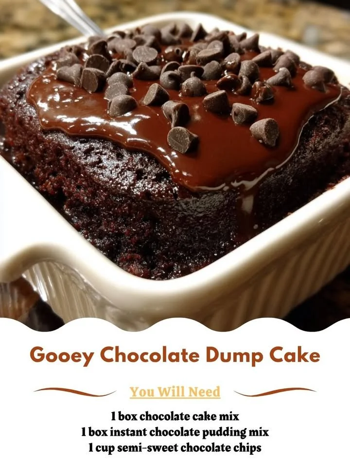Delicious gooey chocolate dump cake topped with chocolate sauce and whipped cream