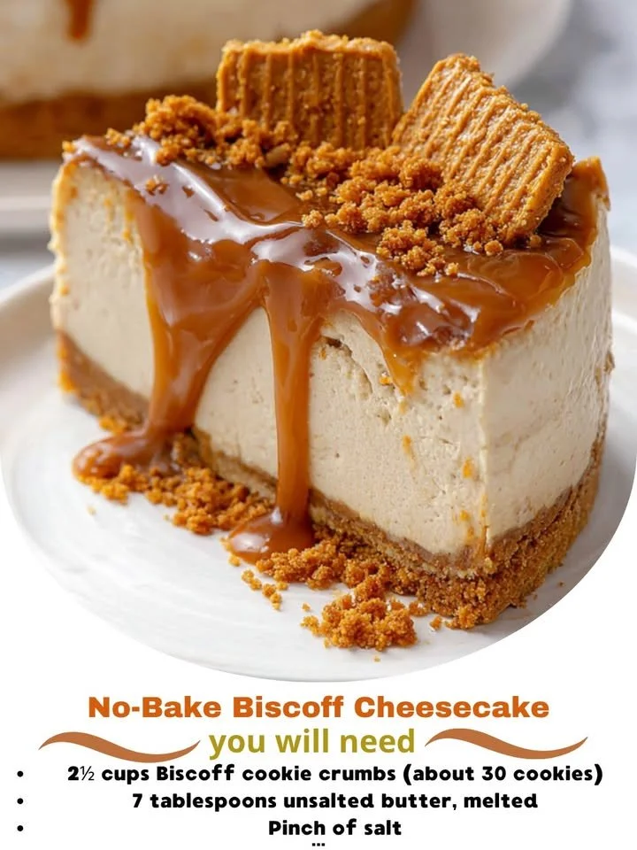 Delicious No-Bake Biscoff Cheesecake topped with caramel sauce and Biscoff crumbs