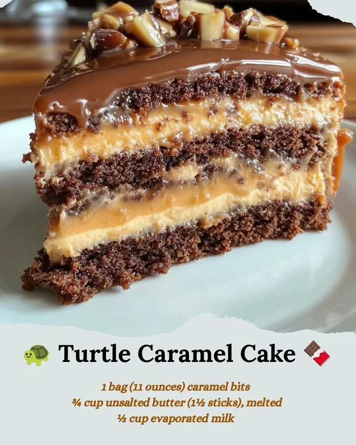 Delicious Turtle Caramel Cake topped with chocolate and caramel sauce
