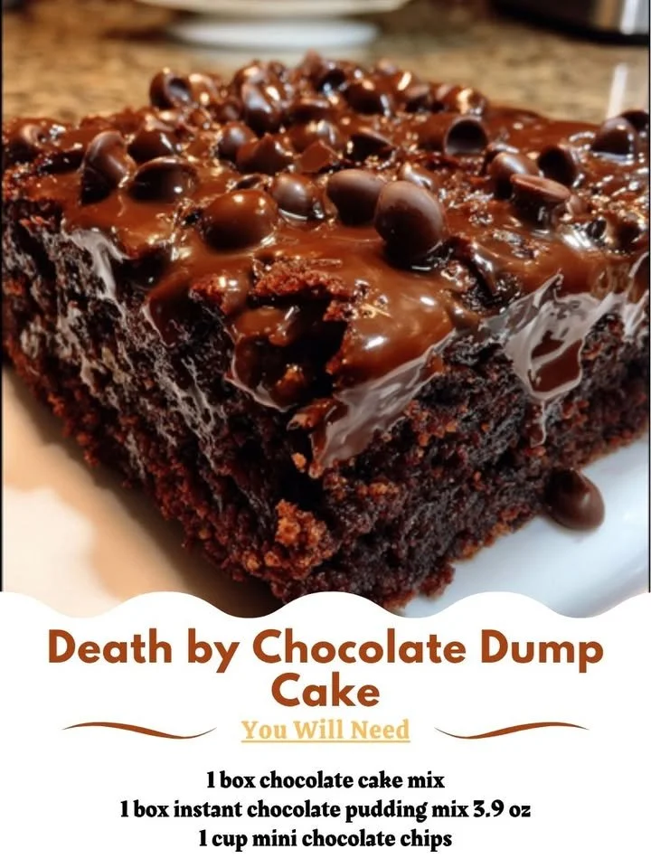 Delicious Death by Chocolate Dump Cake, rich and fudgy dessert for chocolate lovers