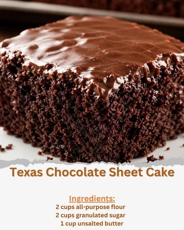 Delicious Texas Chocolate Sheet Cake topped with rich chocolate frosting