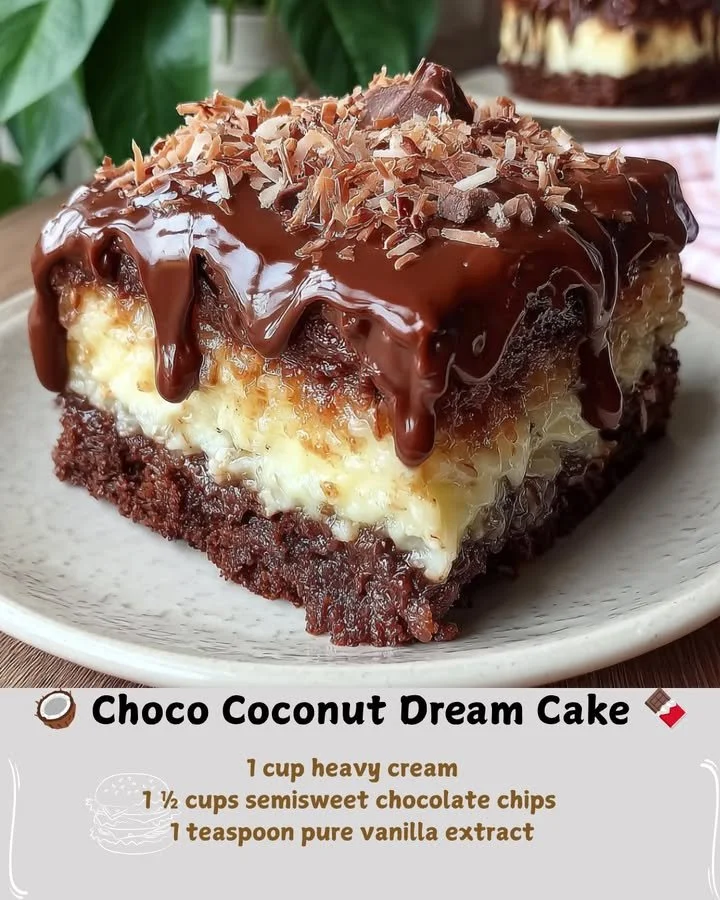 Delicious Choco Coconut Dream Cake with chocolate frosting and coconut topping.